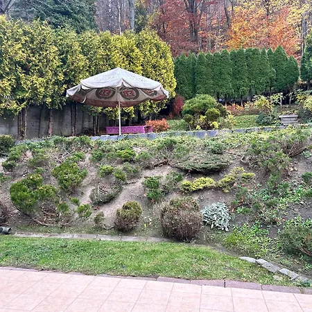 Safona Krynica-Zdrój